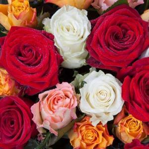 dozen roses flower delivery dublin