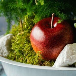 Indoor Garden - Image 4