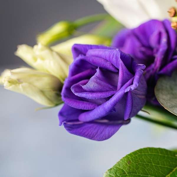 pretty in purple bouquet oasis florist