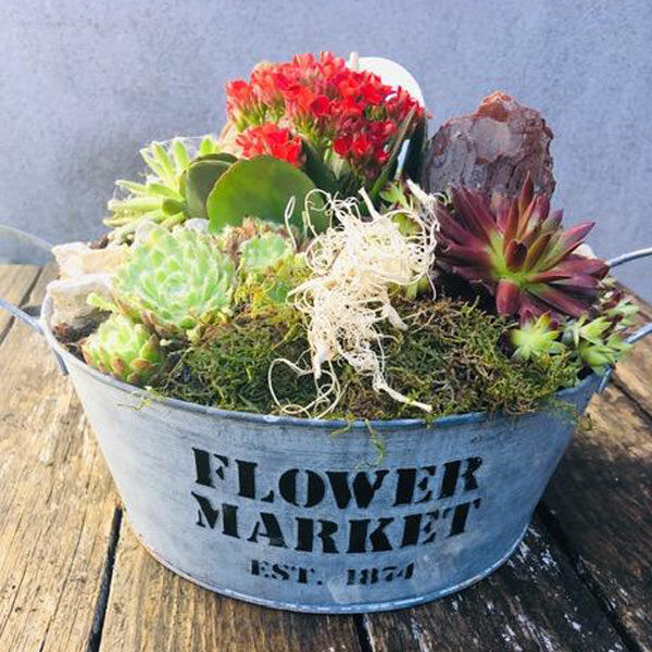 alpine bowl Flowers for Delivery in Dublin