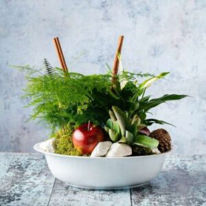 Indoor Garden - Image 3