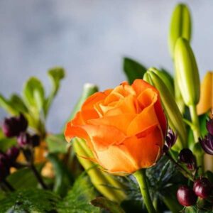 rustic autumnal flowers Flowers for Delivery in Dublin