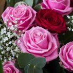 Flower Delivery Dublin - Oasis Florists Terenure