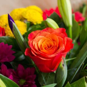 order flowers online delivery flowers Dublin