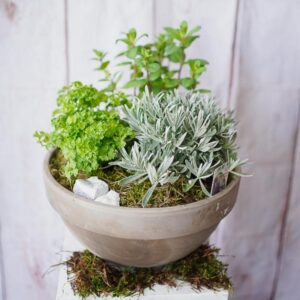 herb garden dublin florists