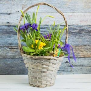 flower basket from Dublin Florist