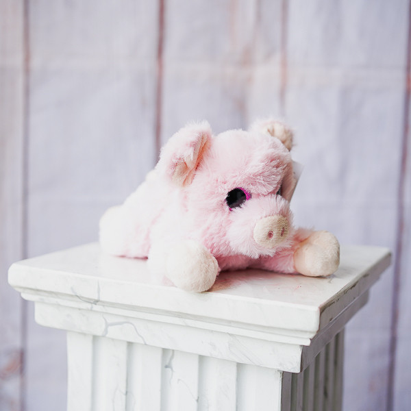 soft toy gift with flowers online Dublin