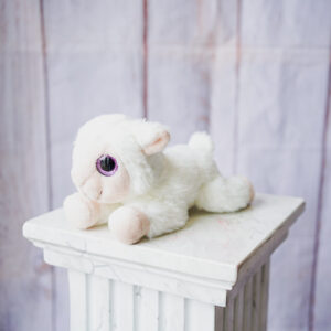soft toy gift with flowers online Dublin