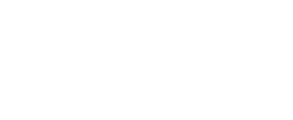 Oasis Boutique Florists - web logo